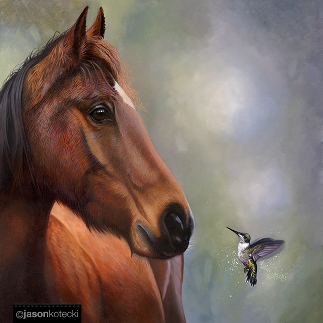 Horses vs. Hummingbirds