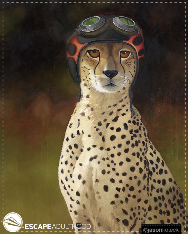 The Life-Changing Wisdom of the Cheetah