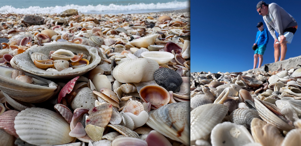 The Wastefulness of God