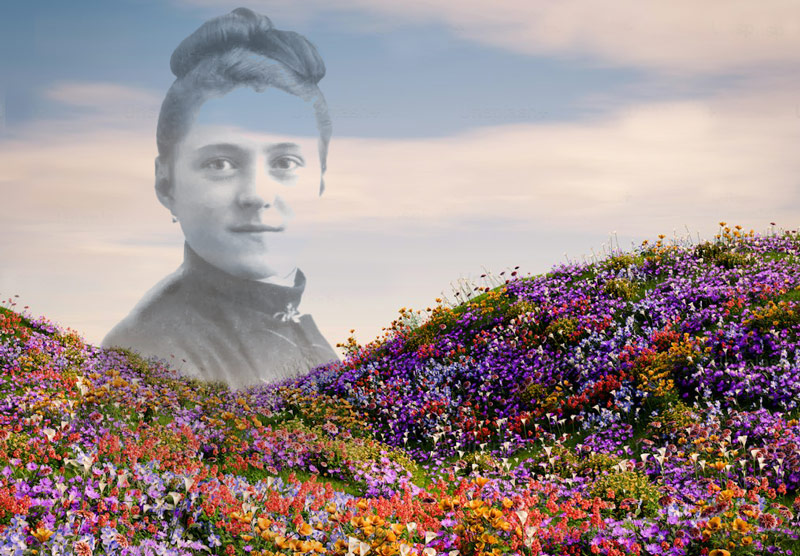 The Little Flower and the Big Lesson